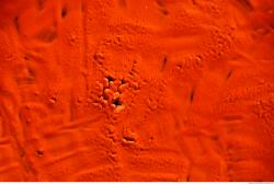 Photo Textures of Painting